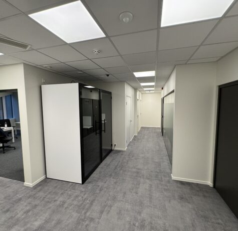 Kipsseeinte ja -lagede ehitus - Regus