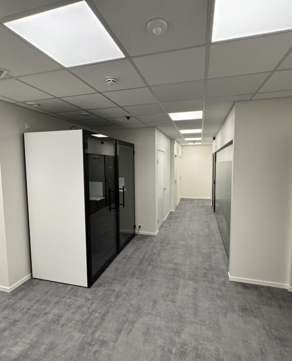 Kipsseeinte ja -lagede ehitus - Regus