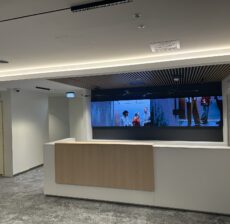 Kipsseinte ja -lagede ehitus - Ahtri 4 YOLO